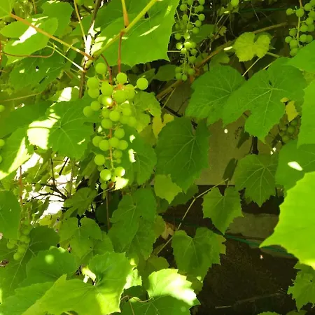 Grand Kivistoe Near Helsinki Airport